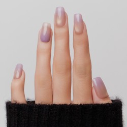 Lilas d’Amou