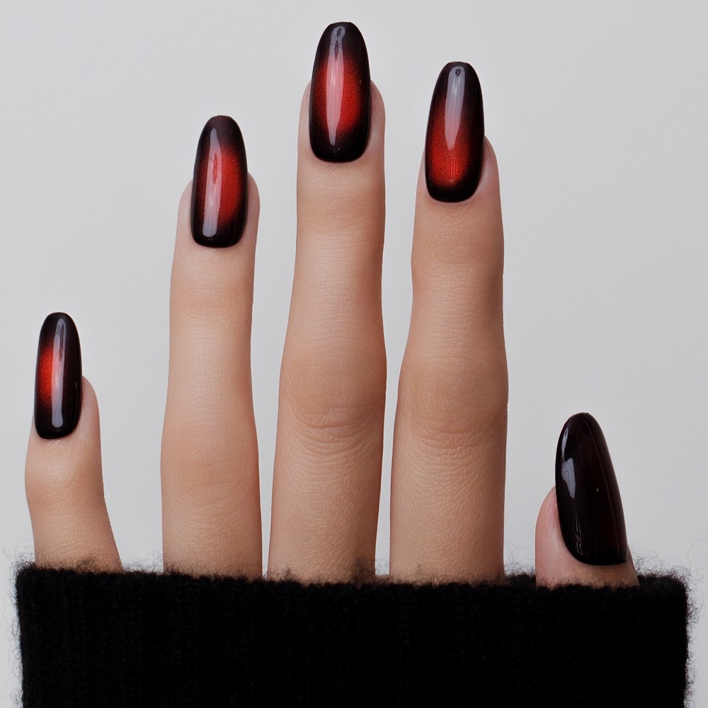 Tulipe Noire