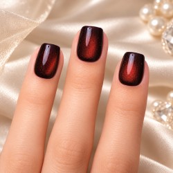 Tulipe Noire