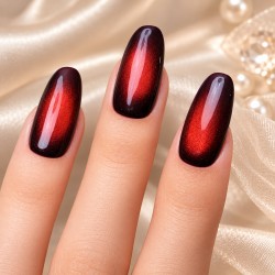 Tulipe Noire